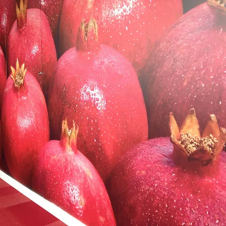 Macia Five Senses & Szálloda 3*